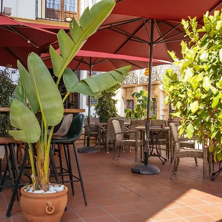ホテル Palacio De Hemingway 4*